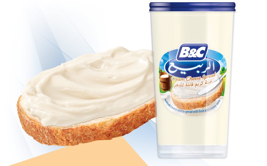 Cream Cheese Spread 240g