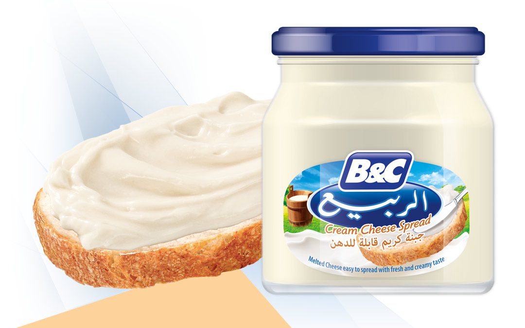 Cream Cheese Spread 500g